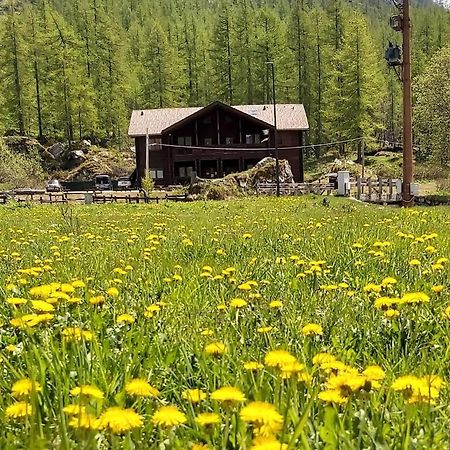 Chalet Rosa Dei Monti Piamprato Luaran gambar