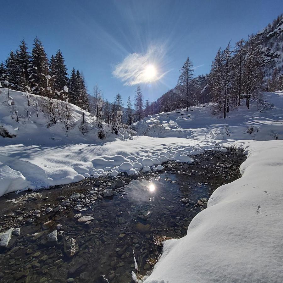 Chalet Rosa Dei Monti Piamprato Luaran gambar