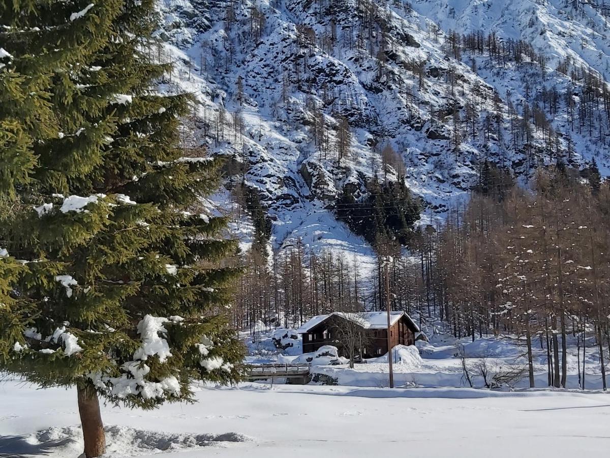 Chalet Rosa Dei Monti Piamprato Luaran gambar