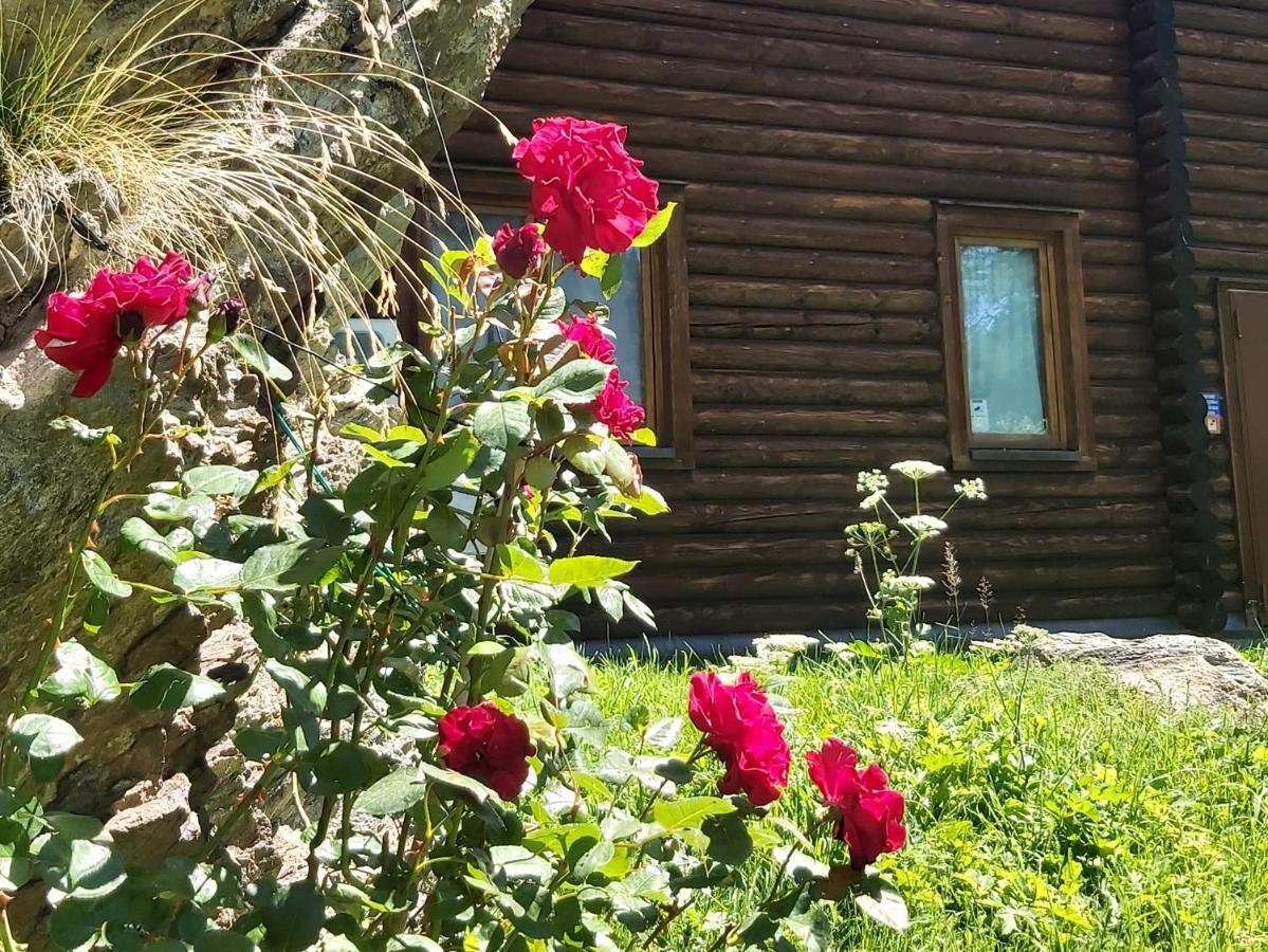Chalet Rosa Dei Monti Piamprato Luaran gambar