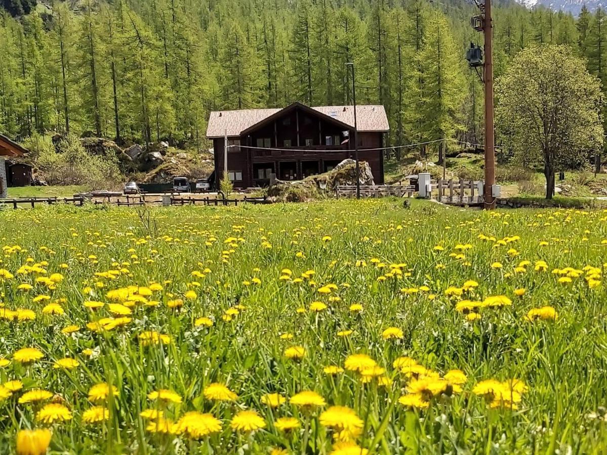 Chalet Rosa Dei Monti Piamprato Luaran gambar