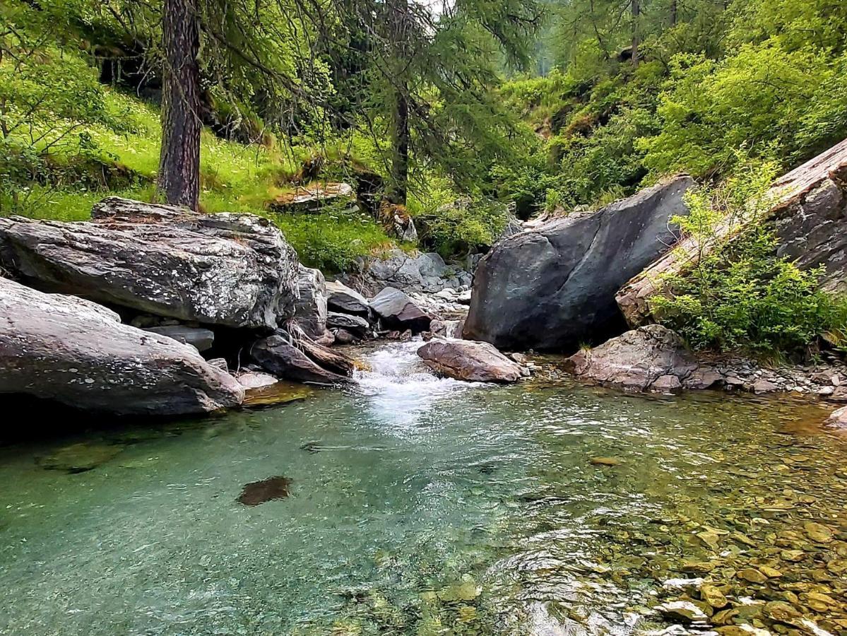 Chalet Rosa Dei Monti Piamprato Luaran gambar