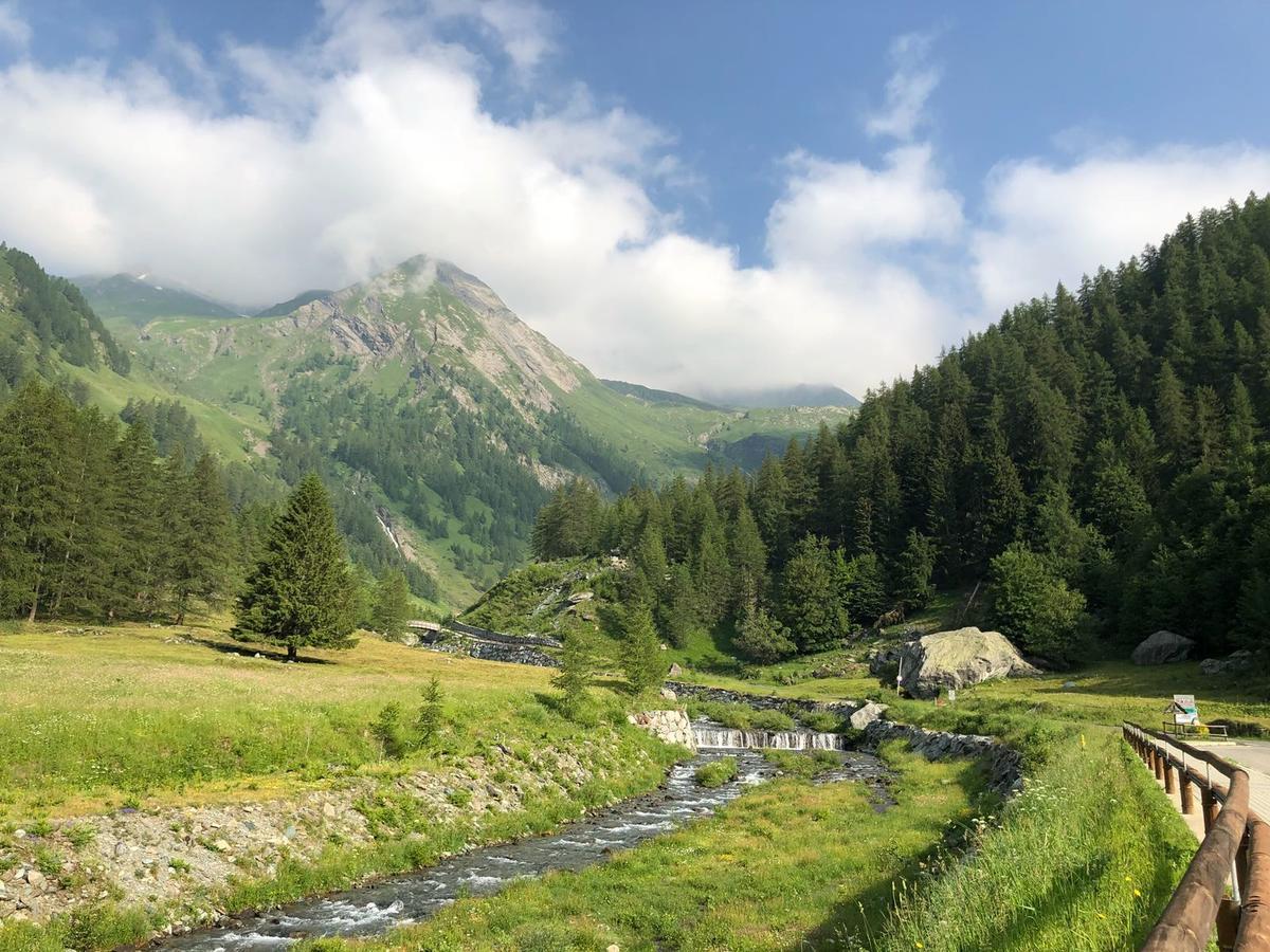 Chalet Rosa Dei Monti Piamprato Luaran gambar