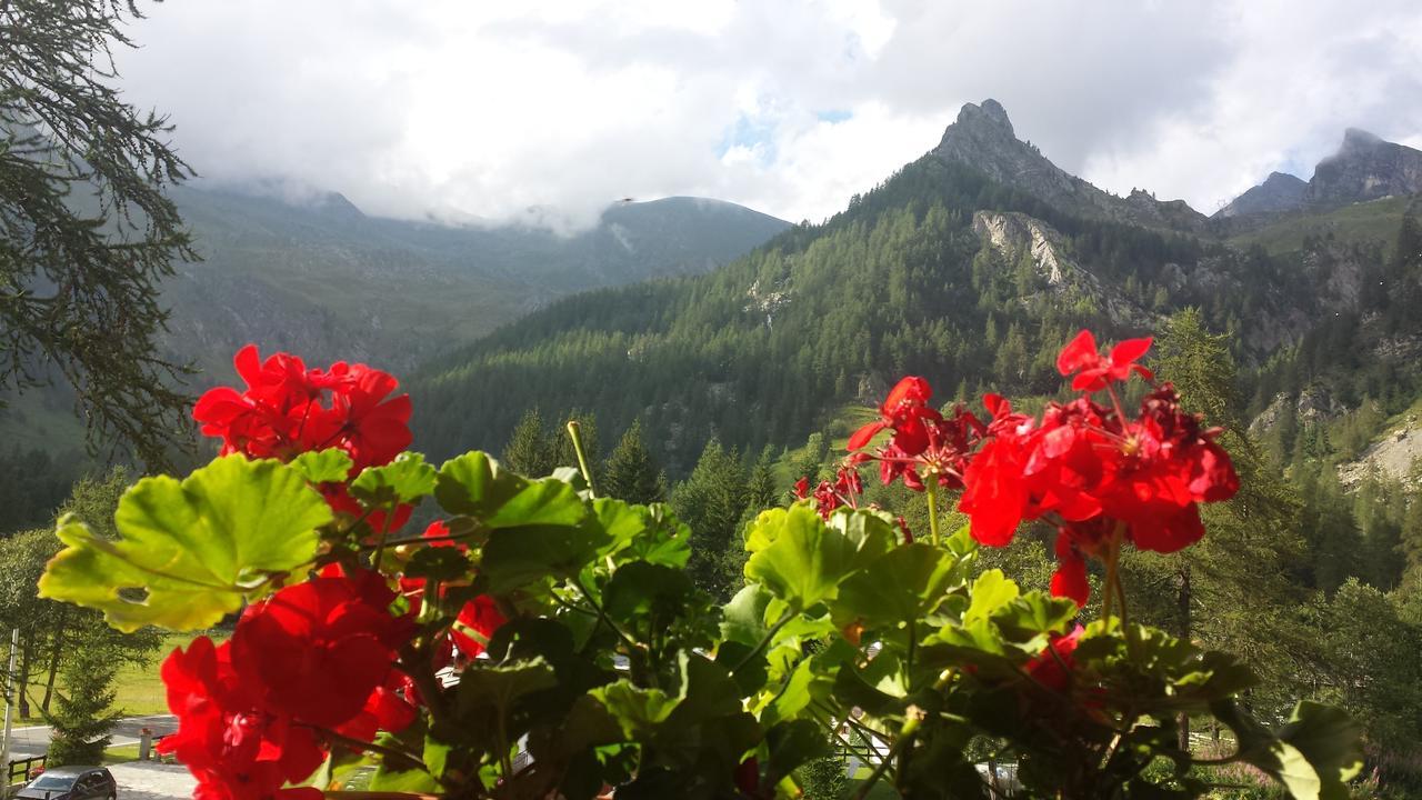 Chalet Rosa Dei Monti Piamprato Luaran gambar