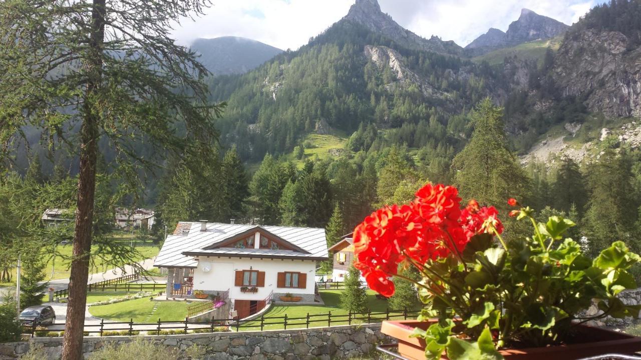 Chalet Rosa Dei Monti Piamprato Luaran gambar
