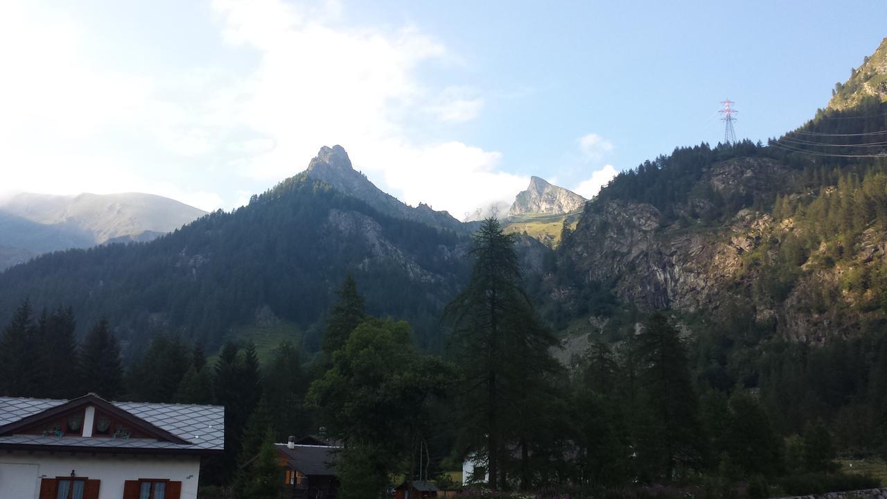Chalet Rosa Dei Monti Piamprato Luaran gambar