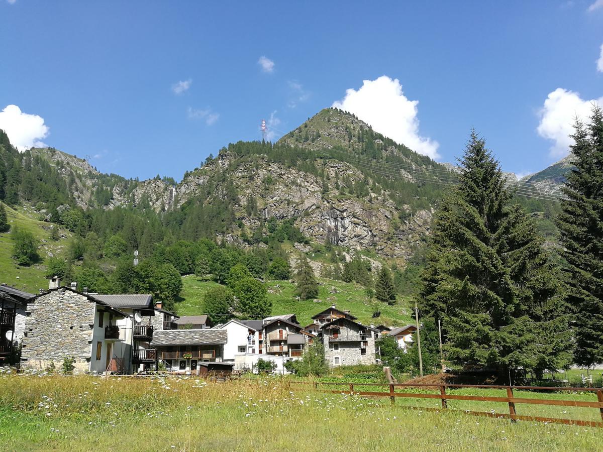 Chalet Rosa Dei Monti Piamprato Luaran gambar