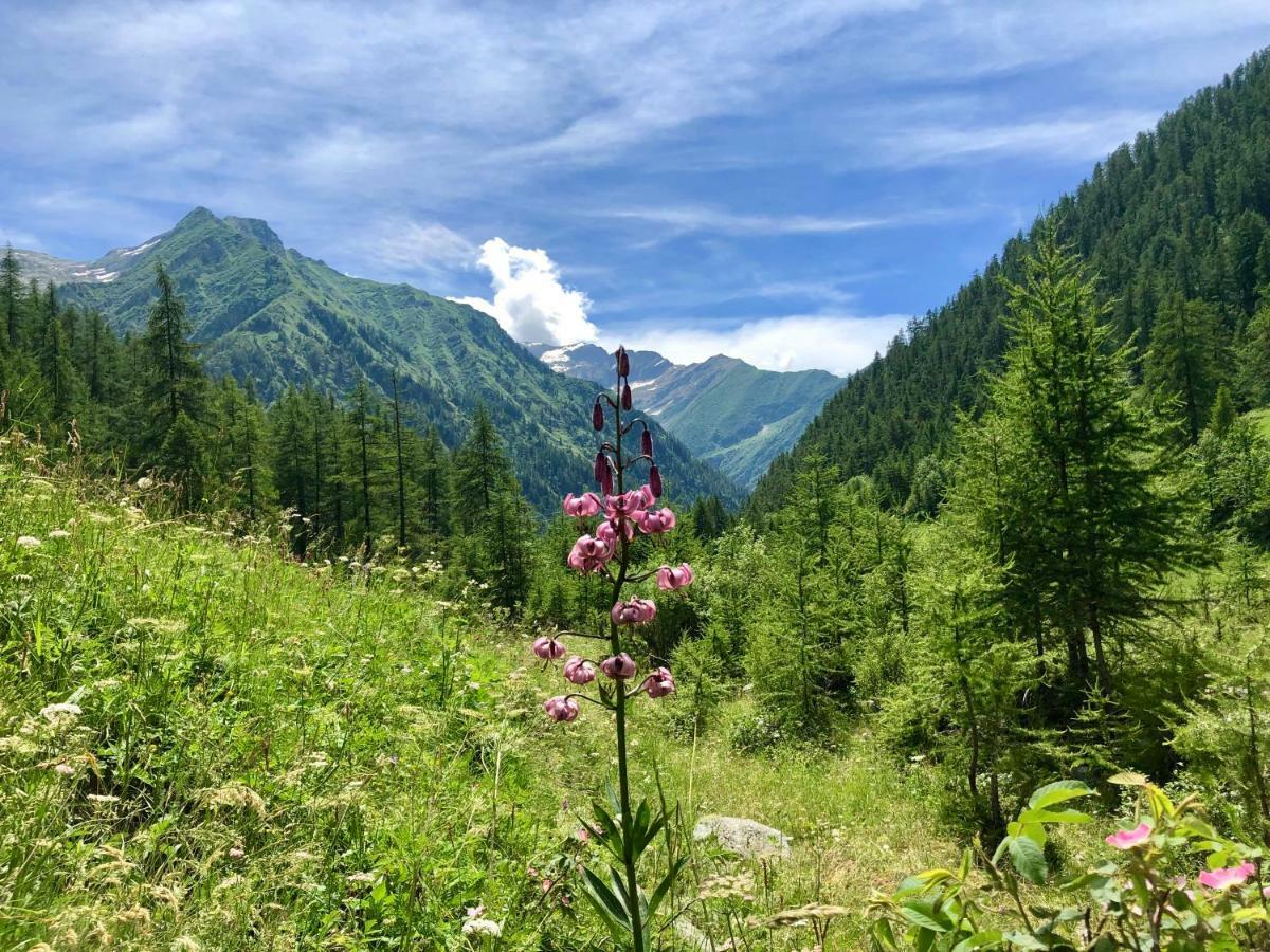 Chalet Rosa Dei Monti Piamprato Luaran gambar